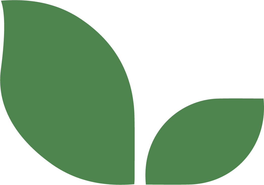 Eco icon green leaves