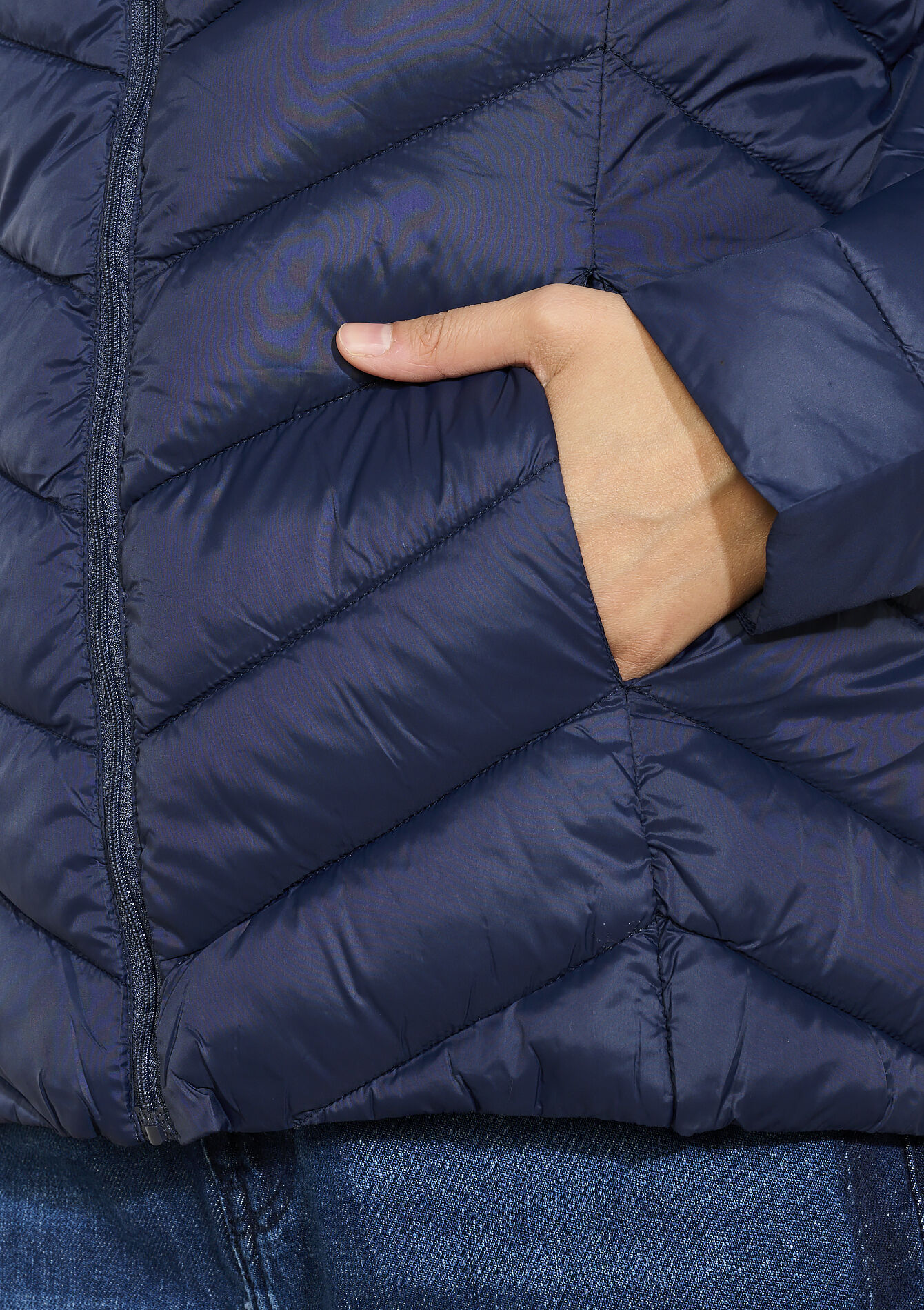 Lichte gewatteerde jas met capuchon, Lichte gewatteerde jas met capuchon - NAVY BASIC - 15000526_2723